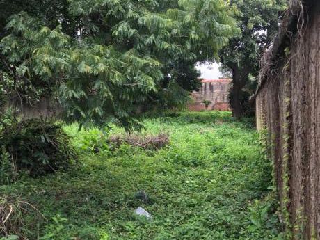 Amplio Terreno En Alquiler En Zona Norte