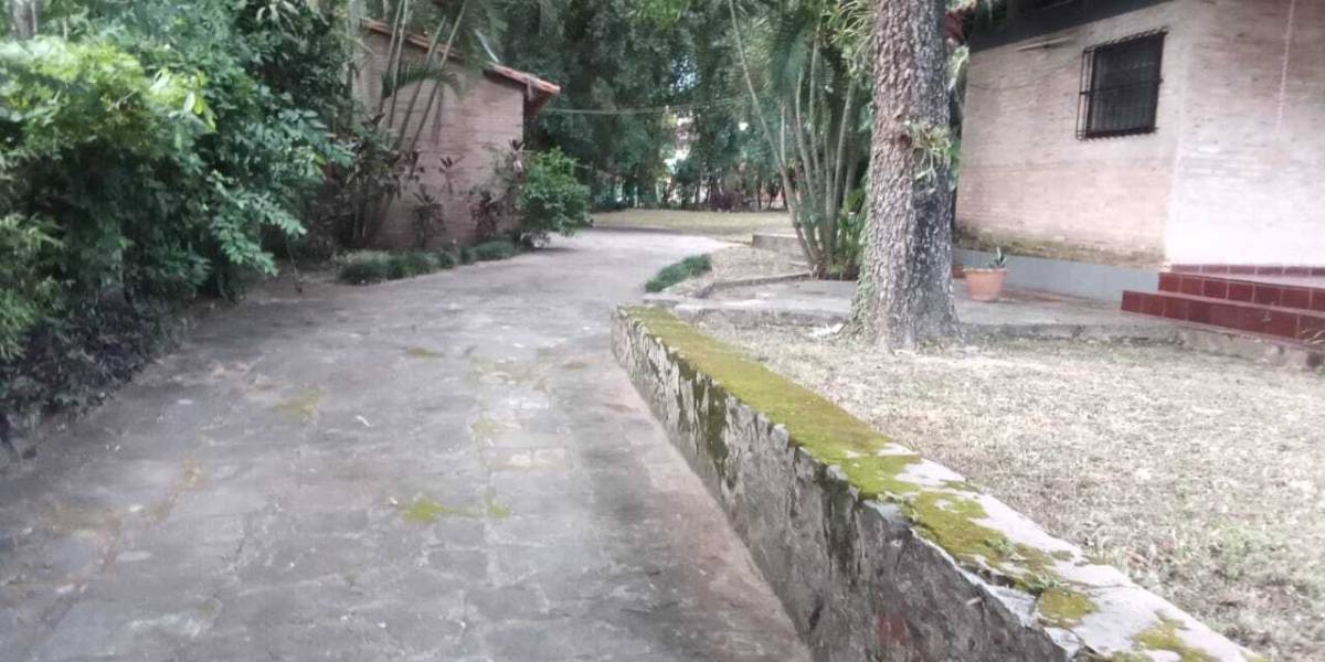 ALQUILO CASA EN SAN BERNARDINO, CORDILLERA — foto 3