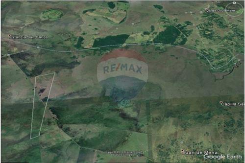 Vendo campo de 540 hectáreas en Juan de Mena Cordillera — foto 3