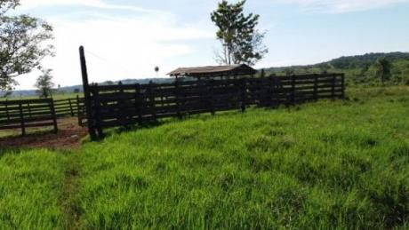 Estancia Ganadera En Caaguazú. 178 Hectáreas Para Cria Y Engorde