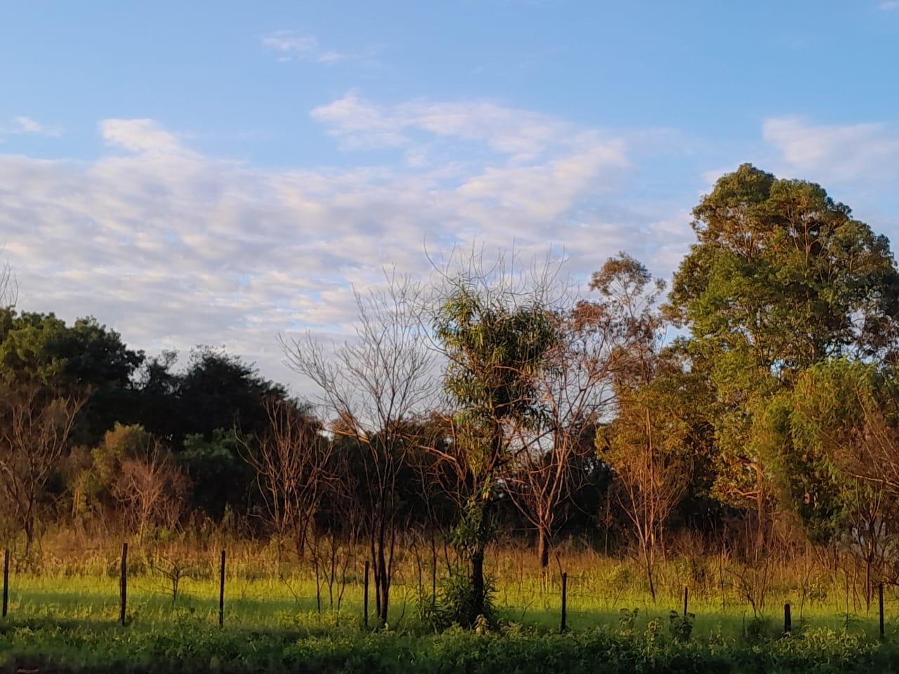 VENDO TERRENO A METROS DE LA RUTA TRANSCHACO — foto 3