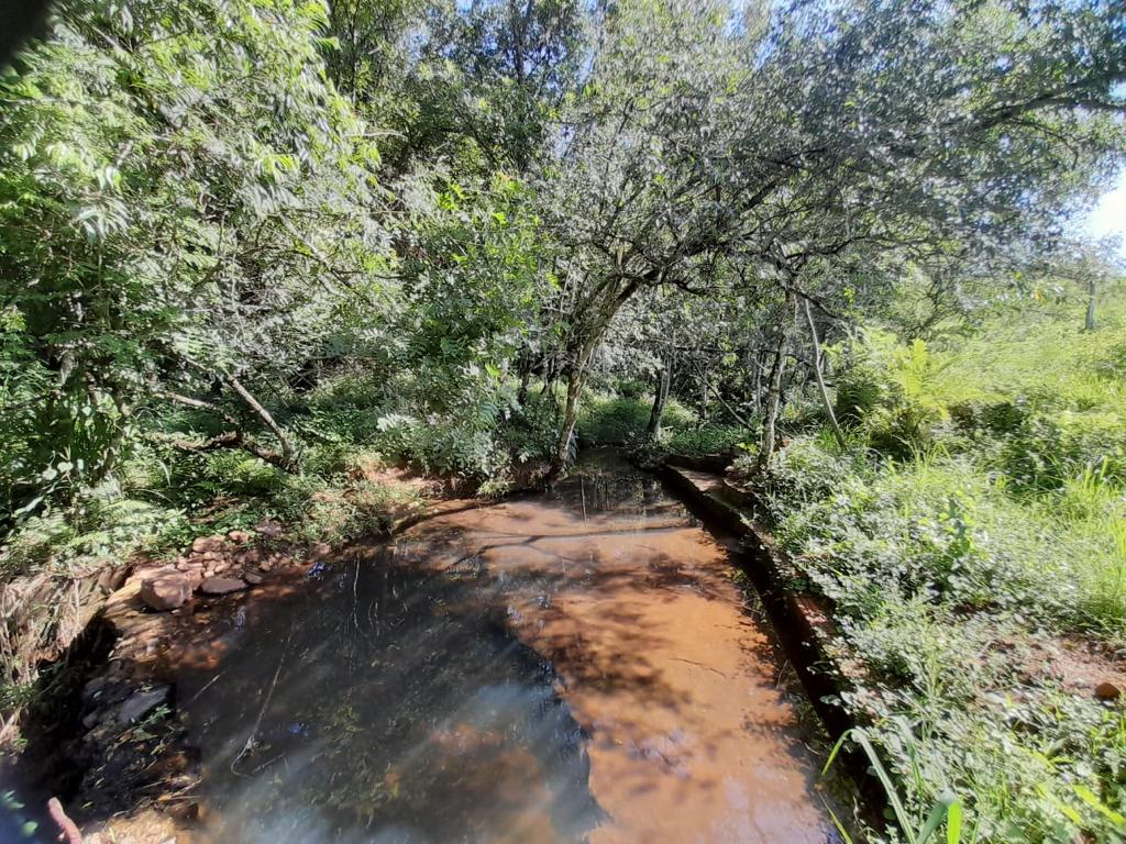 Vendo Campo En Itapua - Federico Chavez — foto 2