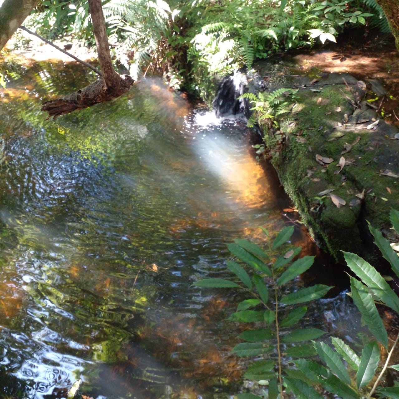 Terreno en Venta en Piribebuy - Cerca de Chololo. — foto 3