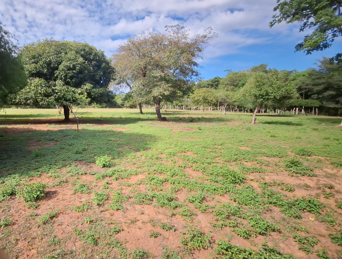Amplio Terreno 3600 M2 Caacupe Especial Para Casa Quinta — foto 2