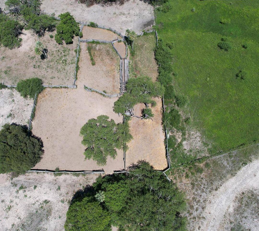 VENTA DE ESTANCIA PARA GANADERÍA – Ruta Ñ Km 47 — foto 2