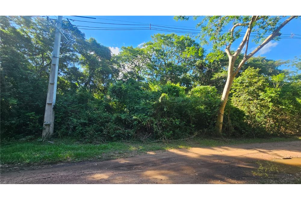 VENDO TERRENO A 200 M DEL LAGO YPAKARAI — foto 2