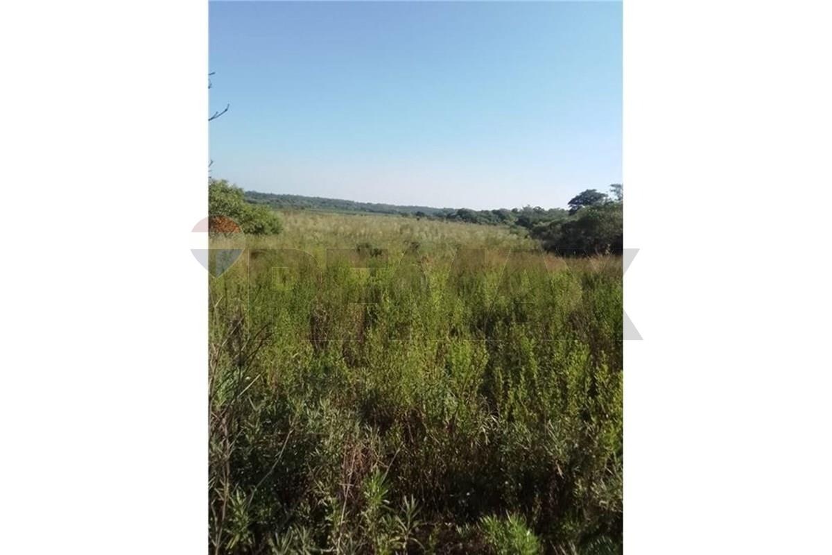 Terreno - Venta - Coronel Bogado, Itapúa, Paraguay — foto 2