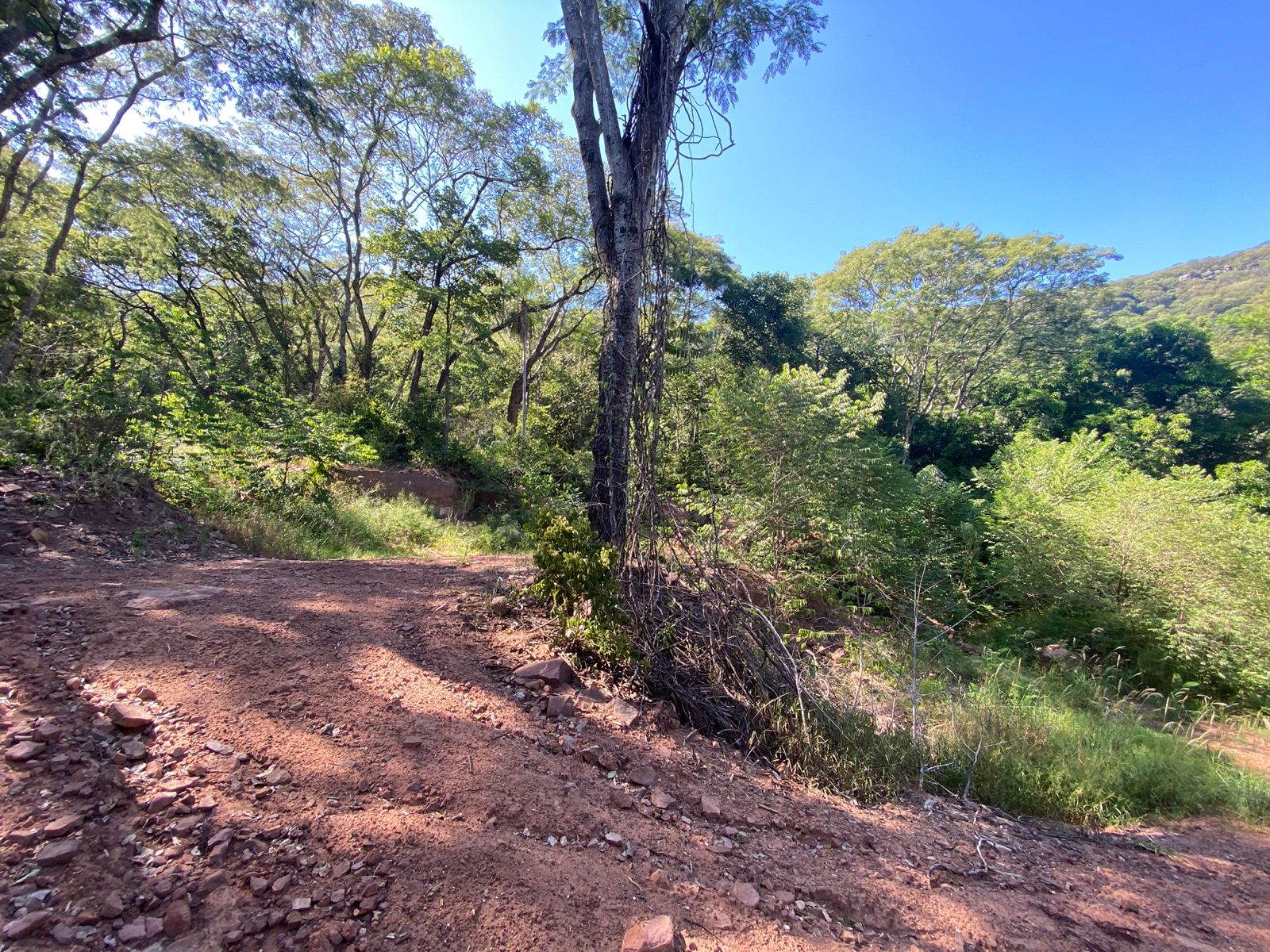 VENDO PROPIEDAD EN PIRAYU — foto 2