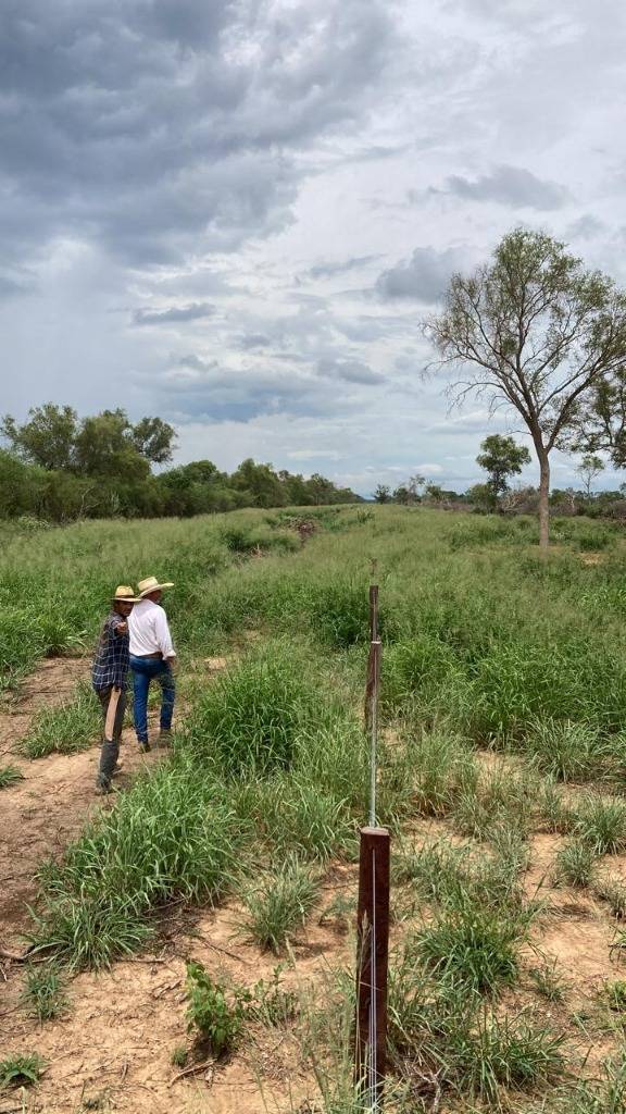 EN VENTA ESTANCIA DE 2.207 HA. EN MCAL. ESTIGARRIBIA — foto 3