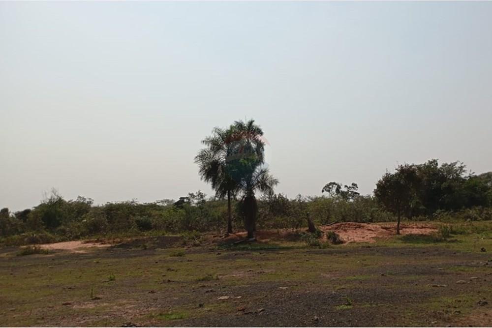 VENDO 195 HECTAREAS EN CANENDIYU — foto 3