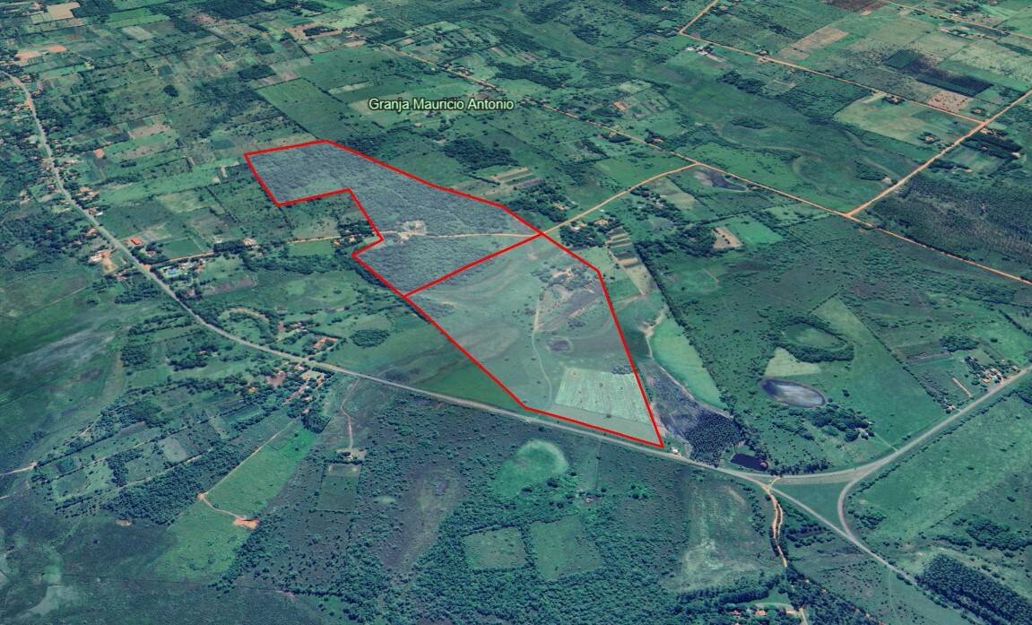 EN VENTA  52 HECTAREAS SOBRE LA RUTA EN TACUATY  DISTRITO DE YVYCUI- PARAGUARI — foto 2