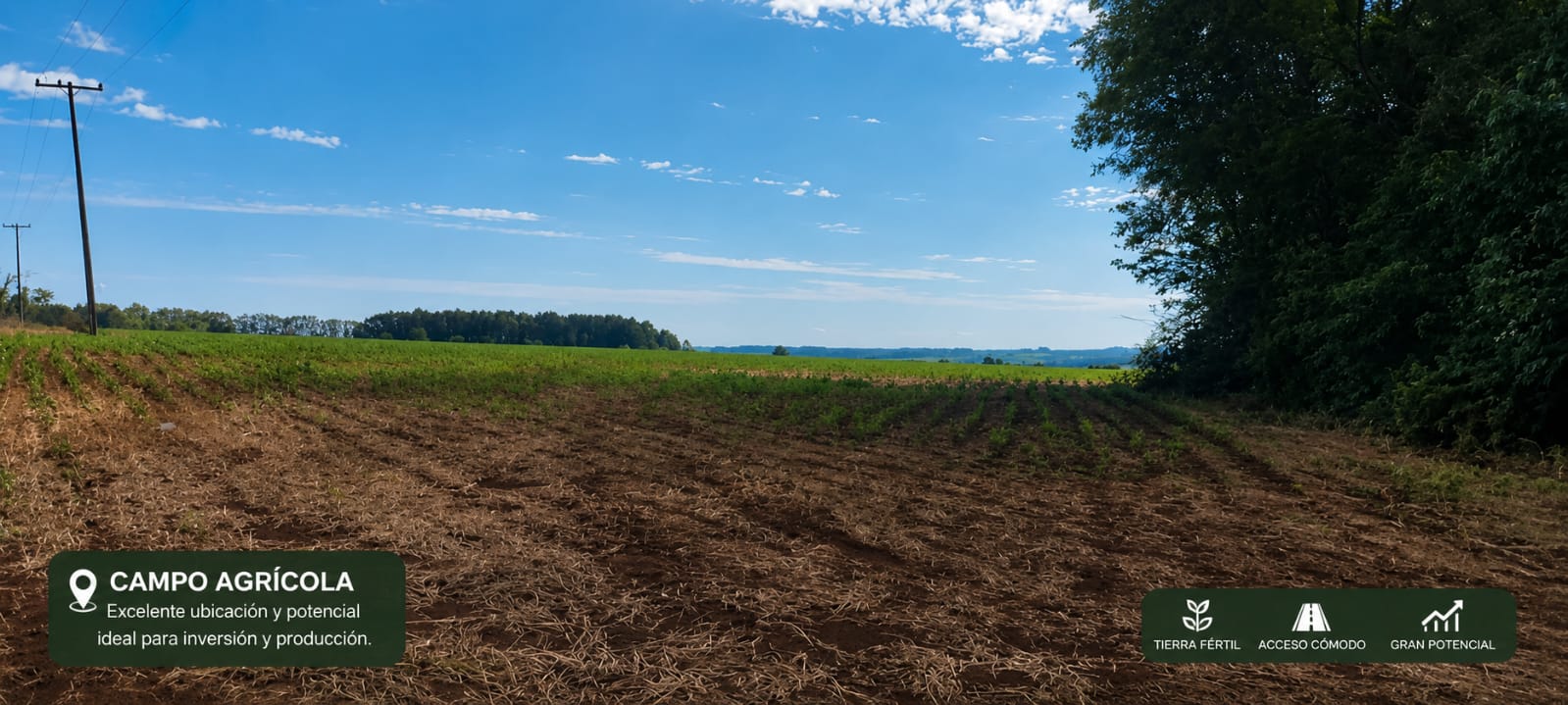 VENDO PROPIEDAD AGRICOLA EN CAPITAN MEZA ITAPUA — foto 3