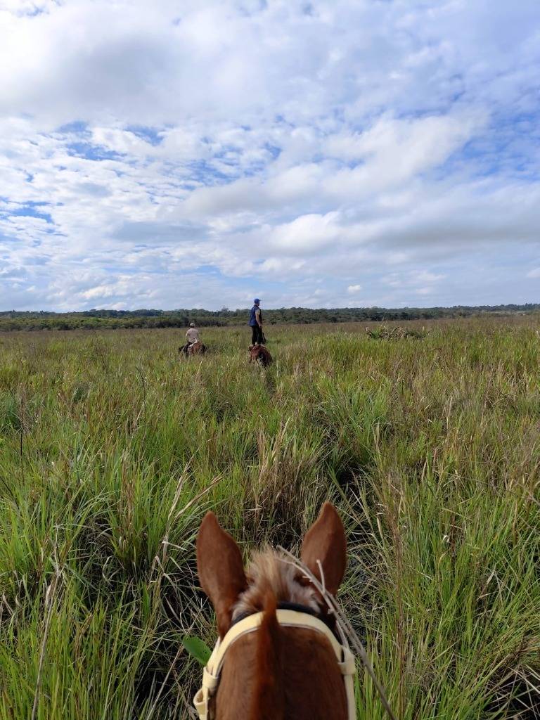 VENTA - 13 ha sobre Ruta 18 con vista al cerro - Acahay, Paraguarí — foto 3