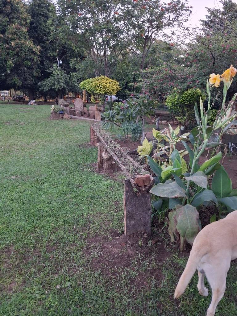 VENTA - Propiedad rural 56 ha sobre Río Manduvirá - Arroyos y Esteros — foto 2