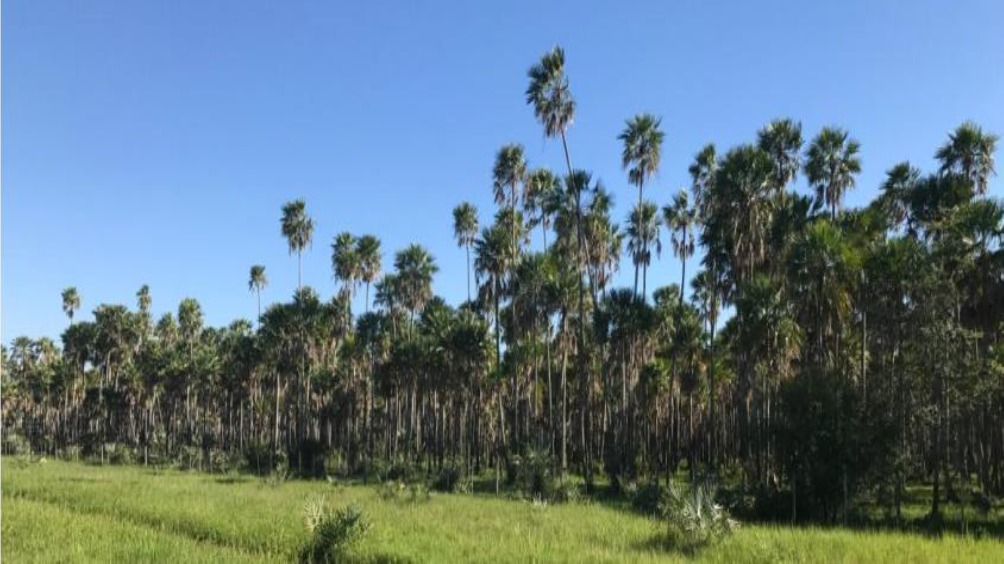 Vendo Campo de 12.734 Hectáreas, Zona Toro Pampa - CLCS7945169 — foto 2