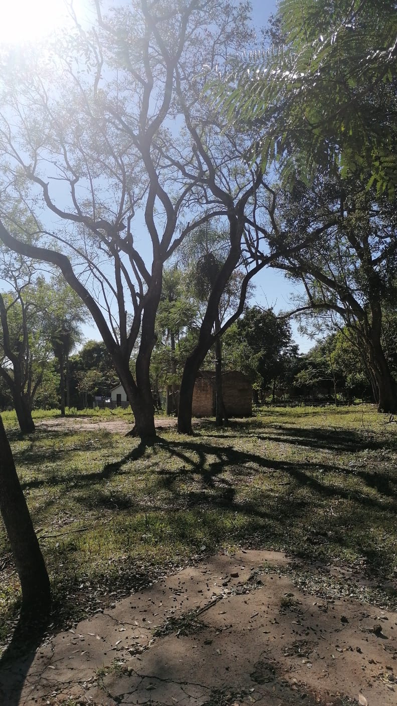 Vendo 2 Terrenos 12x40 en San Ignacio, Misiones - LLA6078905 — foto 2
