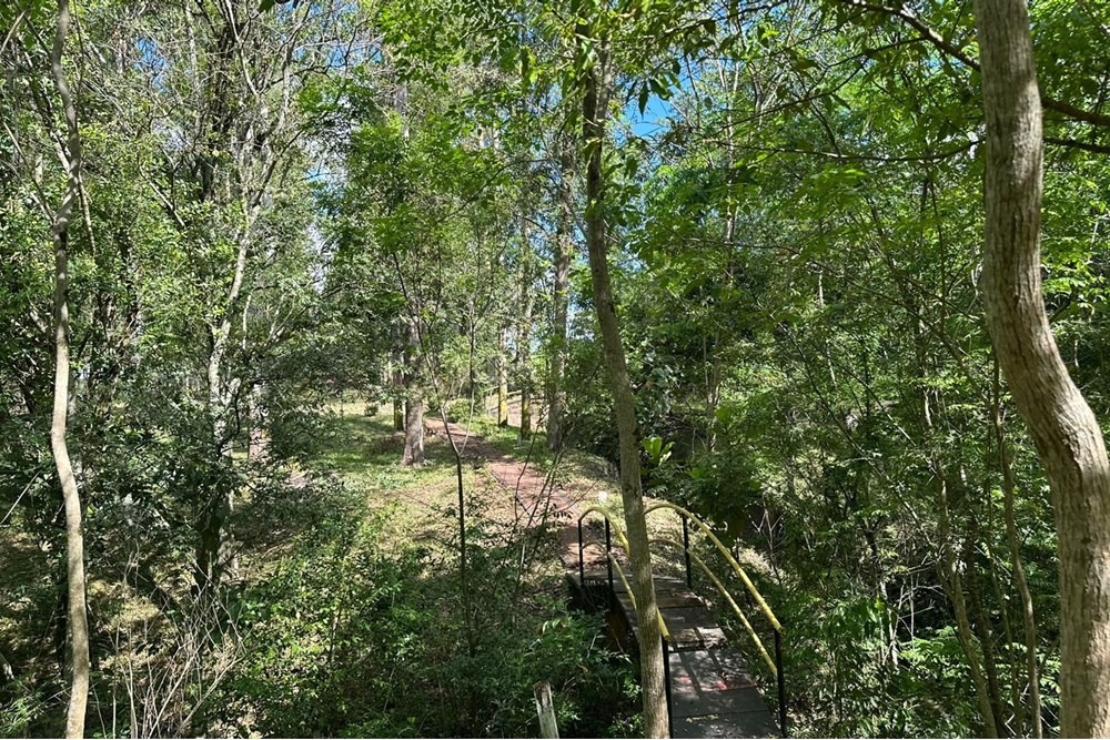 Estancia/Campo-Venta-a 2.5 km de tavapy, Tavapy, Alto Paraná — foto 2
