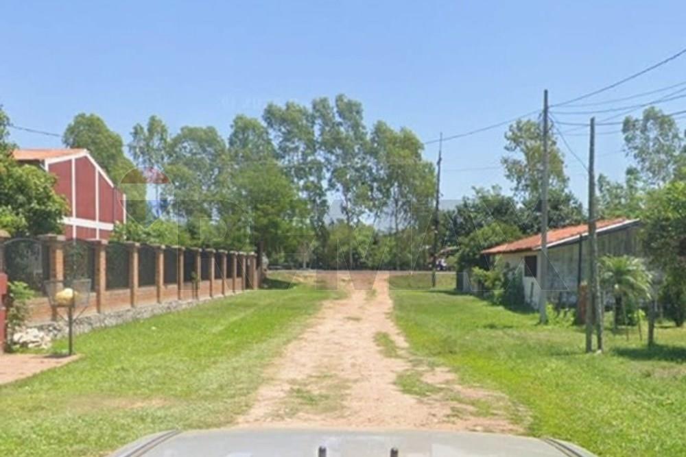Terreno - Venta - Nueva Colombia, Cordillera — foto 3