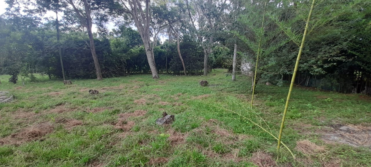 VENDO 3 TERRENOS EN LOMA GRANDE — foto 2