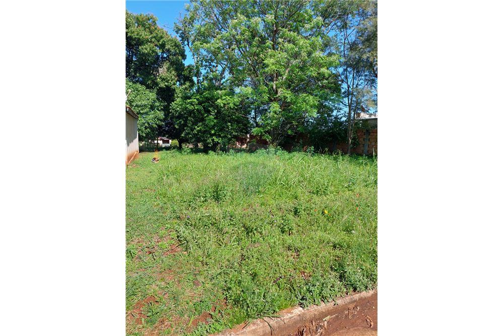 Krol - OFERTO TERRENO EN SAN JUAN DEL PARANA — foto 3