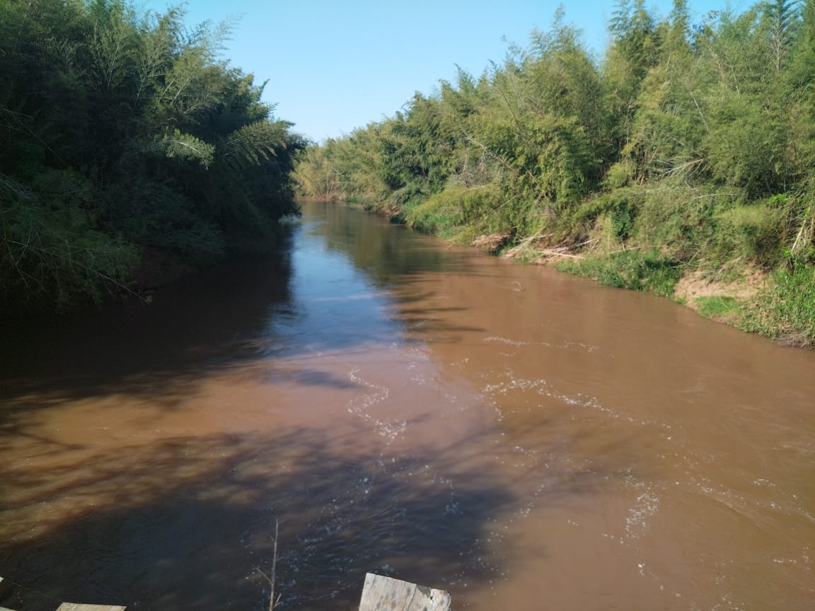 Vendo Establecimiento Rural de 1.500 Hectáreas en Alto Verá, Itapúa-CLCS7428703 — foto 2