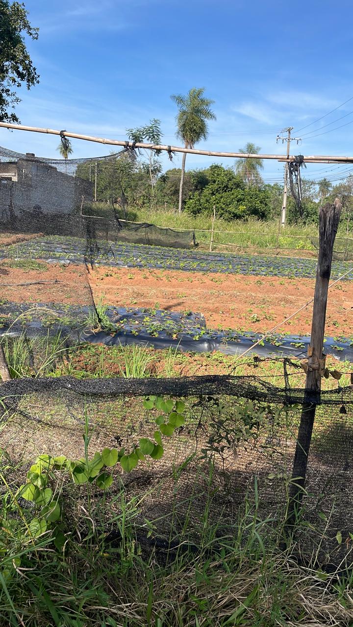 VENDO 2 TERRENOS en AREGUA! Zona Estación TERRENA — foto 2