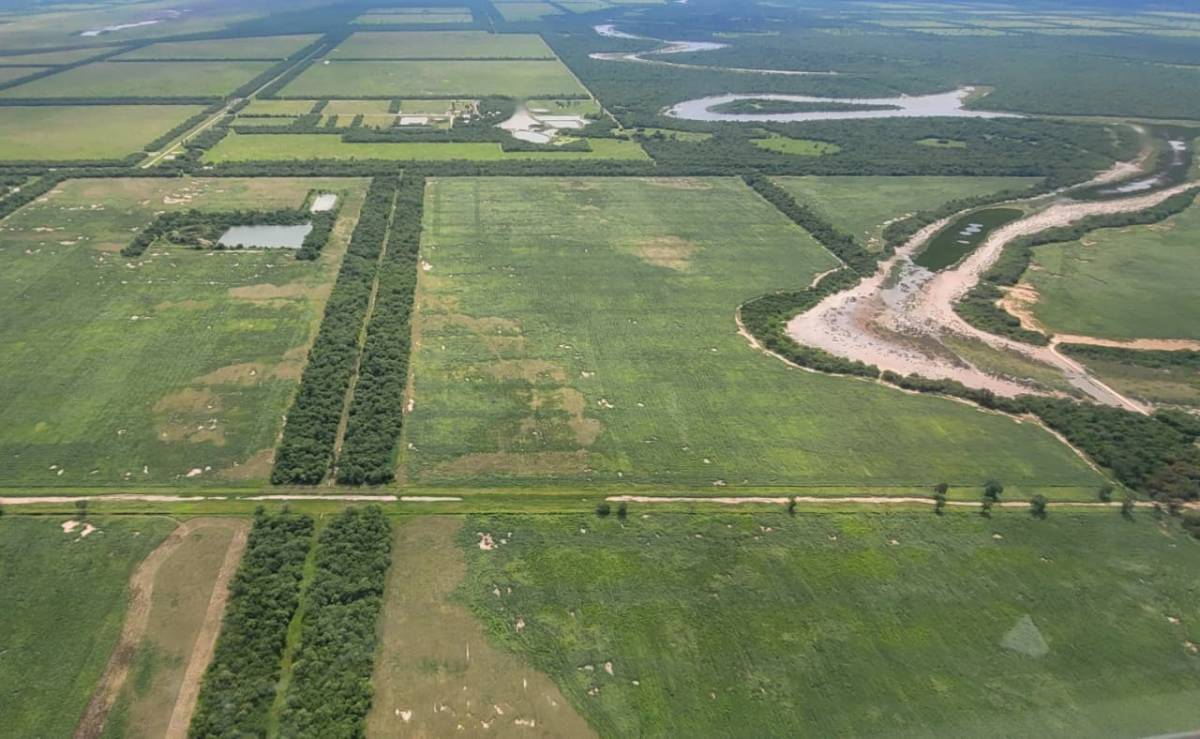 EN VENTA ESTANCIA GANADERA DE 801 HECTAREAS EN TTE IRALA FERNANDEZ, CHACO — foto 2