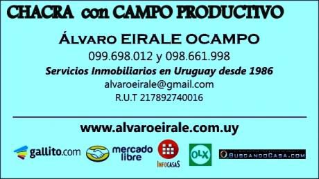 U128475 450.000= Montevideo Chacra 150.000 M2*