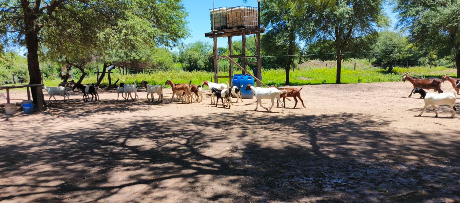 VENDO ESTANCIA EN BOQUERON — foto 3
