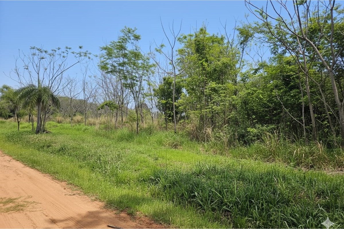 Terreno-Venta-Surubi`y, Mariano Roque Alonso, Central — foto 2