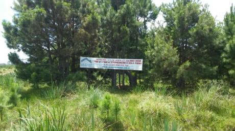 Lote En Venta