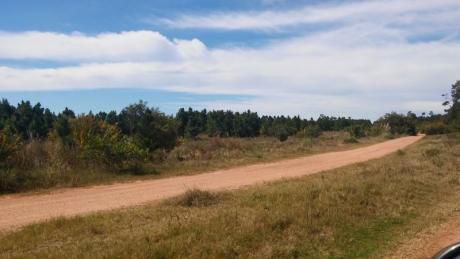 Lote En Venta