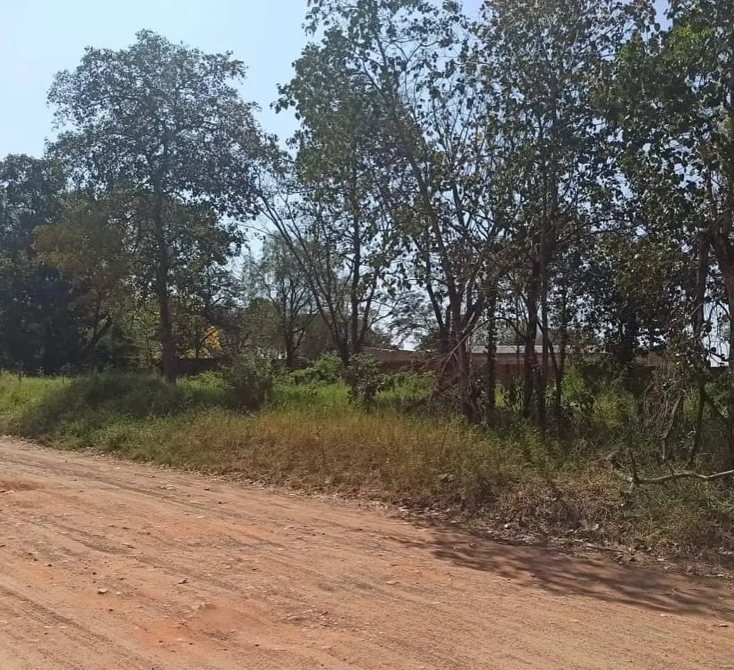 Vendo Terreno En Mariano Roque Alonso — foto 3