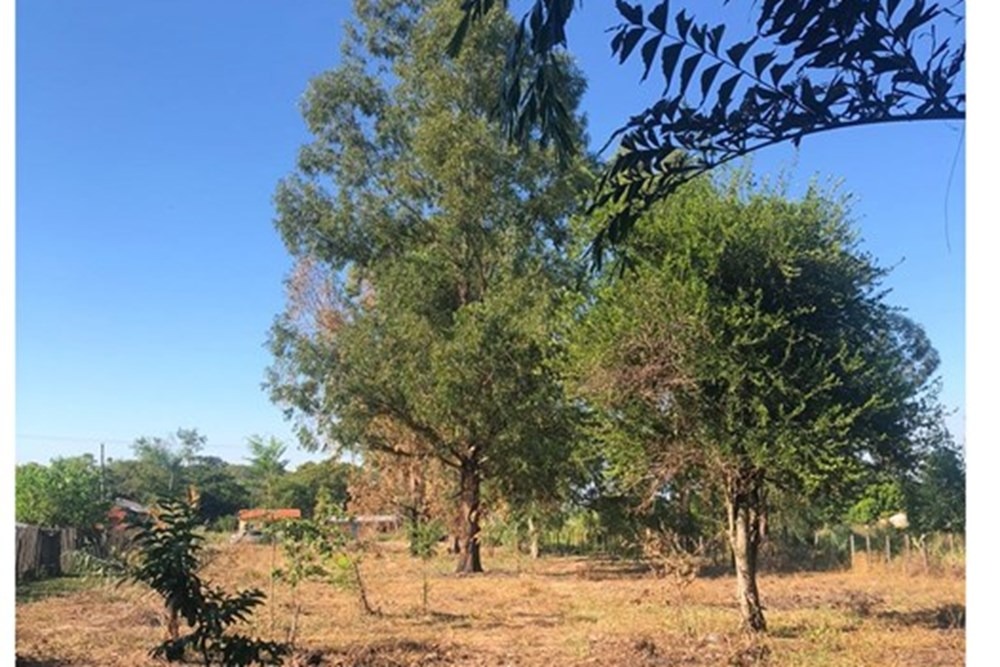 Terreno-Venta-Cerrito - Benjamín Aceval, Benjamín Aceval, Presidente Hayes — foto 3