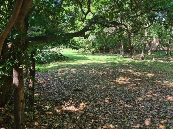 Lote en venta en San Jorge — foto 2