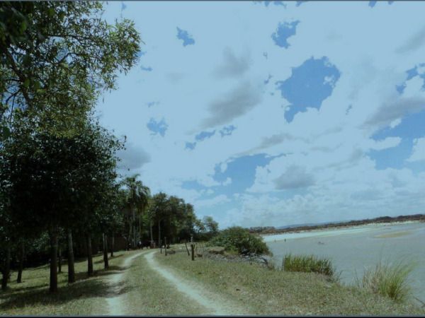 Campo en venta en Paraguay — foto 3
