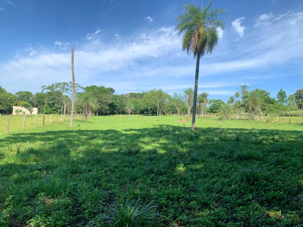 Quinta en venta en Mcal. López — foto 3