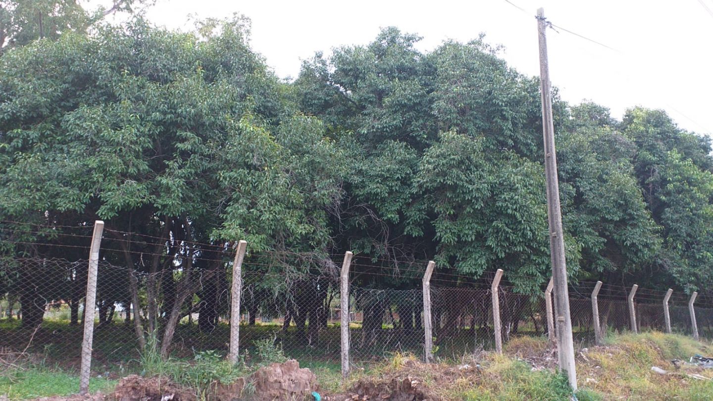 Lote en venta en CAMPO GRANDE — foto 3