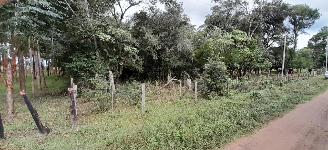 Lote en venta en Colonia Genaro Romero — foto 2