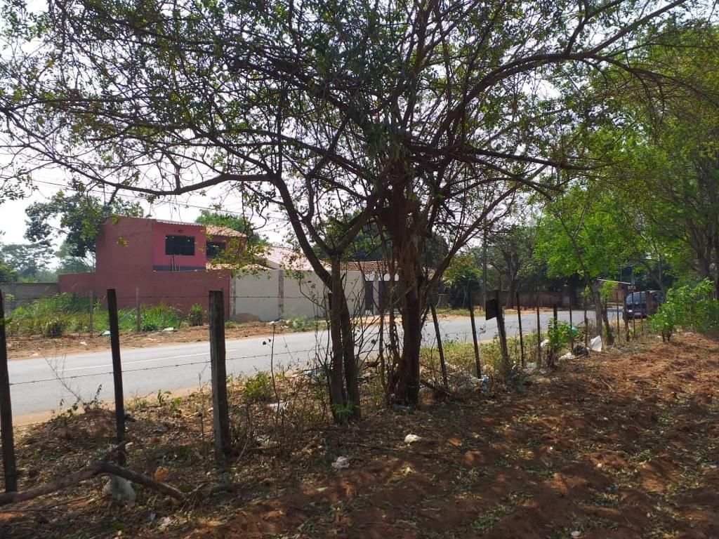 Lote en venta en LOS NOGALES — foto 3