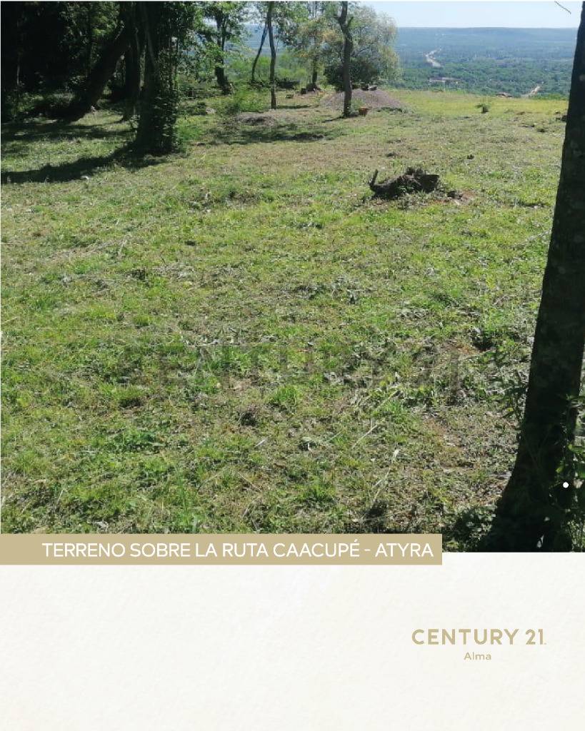 Venta de Estancia/Ganadera en Caacupé, Cordillera — foto 3