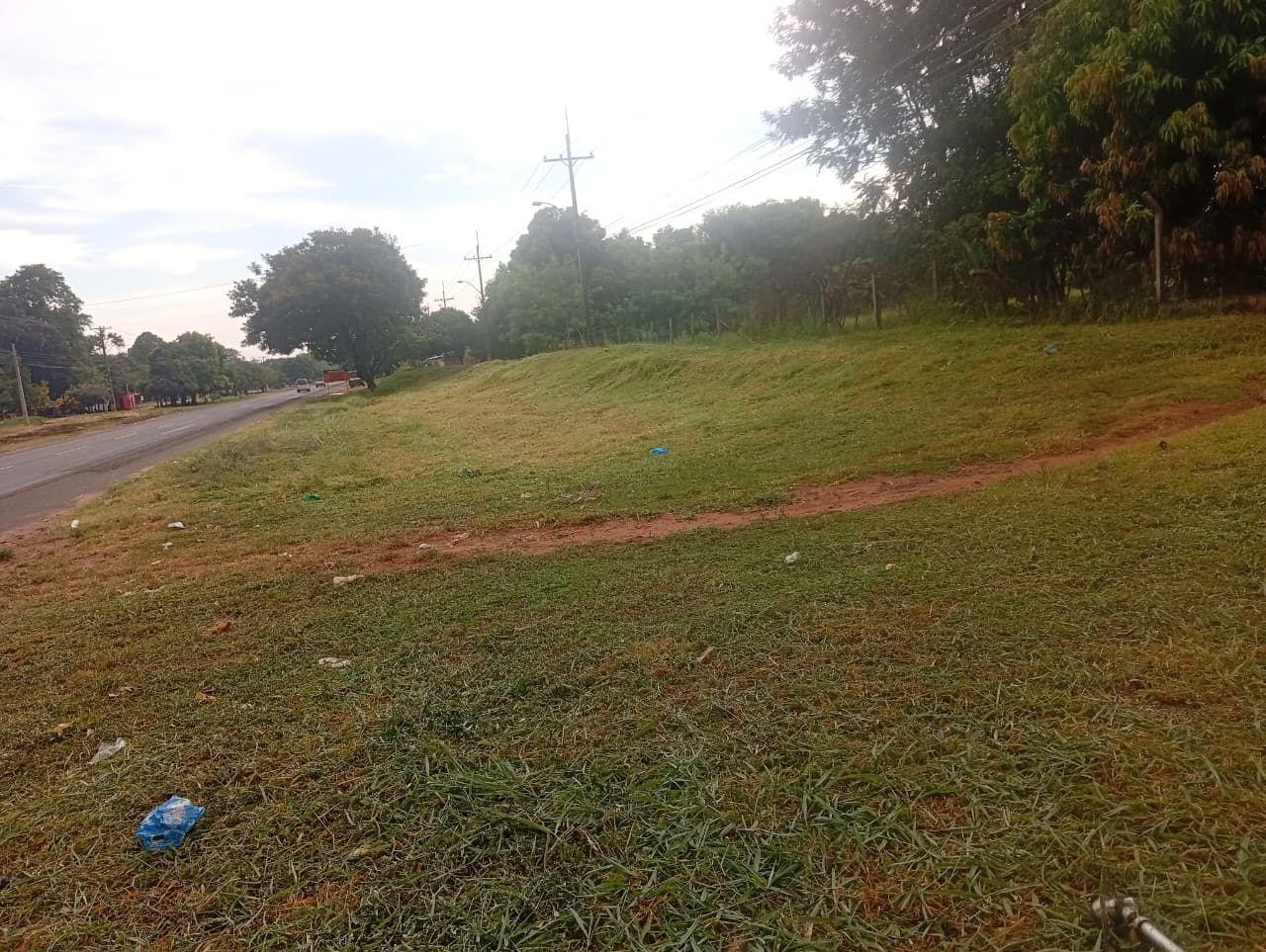 VENDO TERRENO 4 HA EN GUAYAIBI SAN PEDRO — foto 2