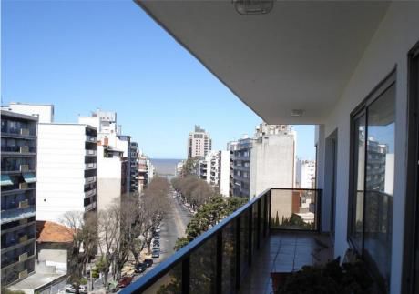 Apartamento En Venta 3 Dormitorios