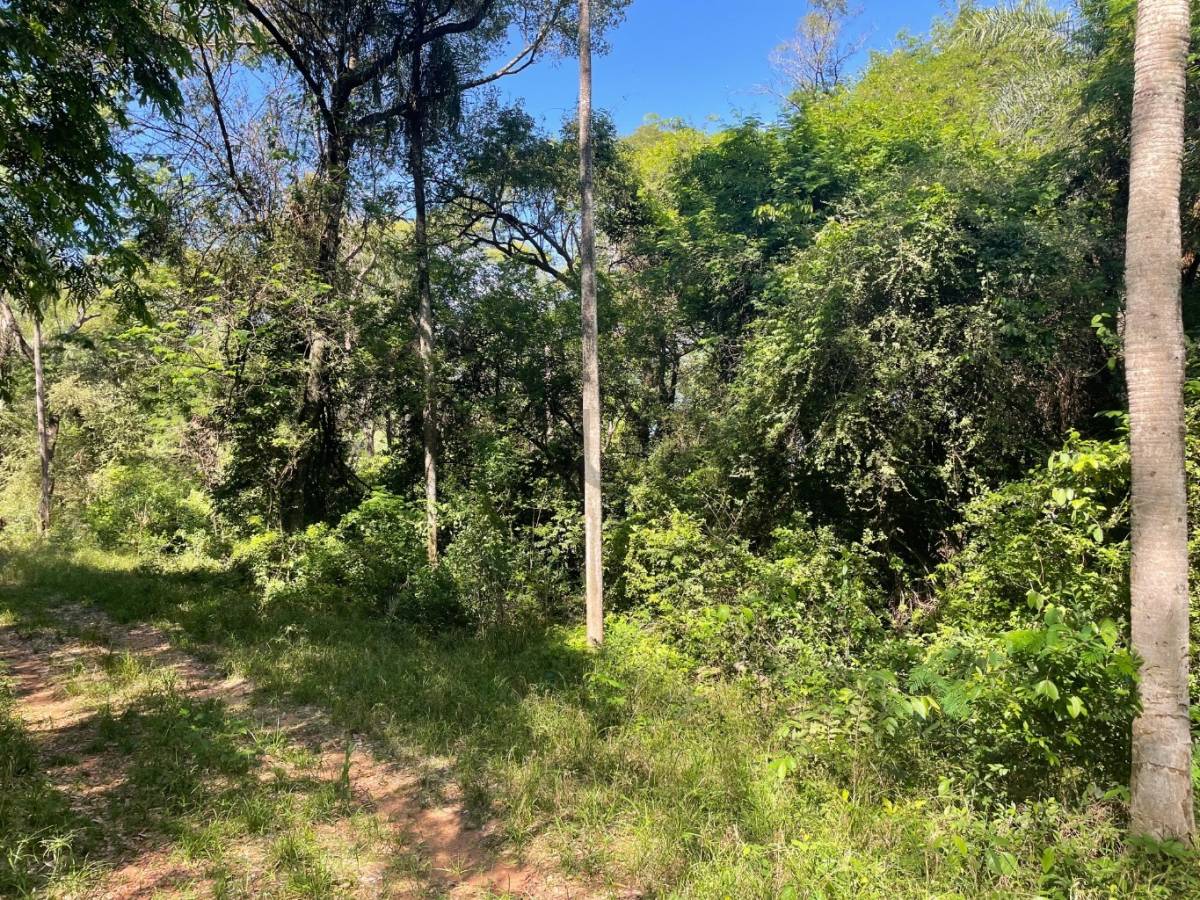 SE VENDE TERRENO DE 850 M2 EN SAN BERNARDINO, LA GRUTA — foto 2