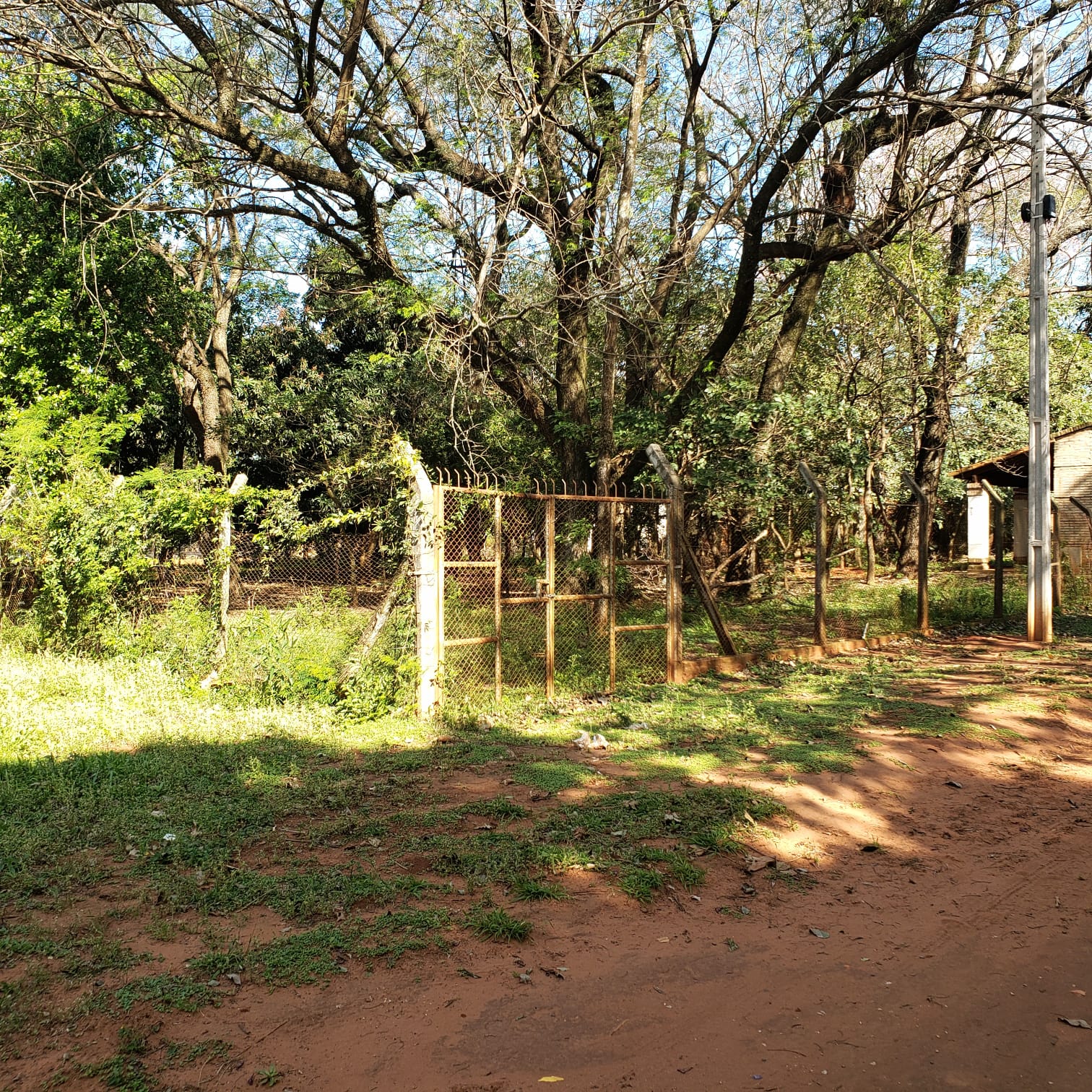 Lotes de terreno en Capiatá hacia la Ruta 1 — foto 2