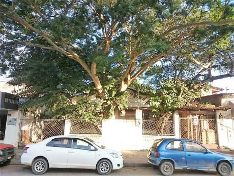 Terreno En Venta Calle Mario Flores A 100 Mts De La Av. Cañoto