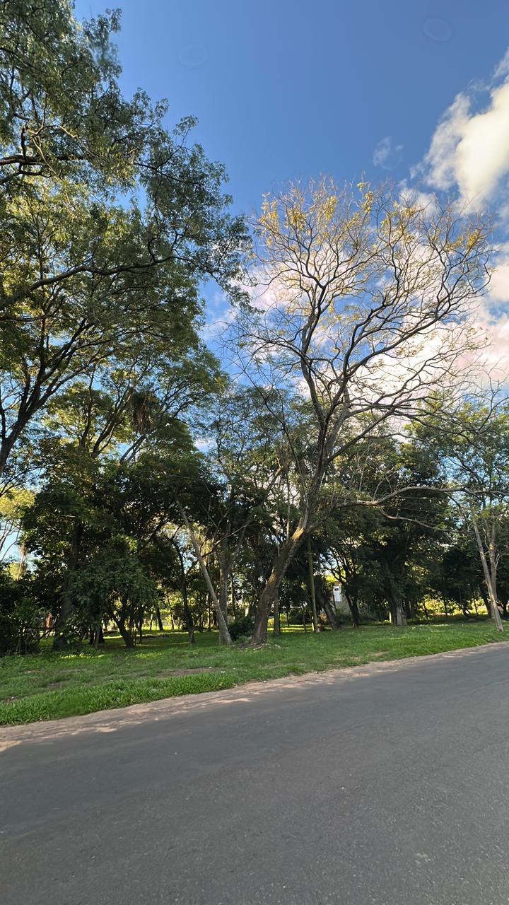 Vendo Terreno De 3.784 M2 En San Bernardino Sobre Asfalto Ruta Al Anfiteatro — foto 3
