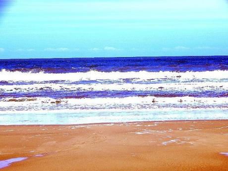 Venta Paquete Con Más De 500 Terrenos Playas De Brasil