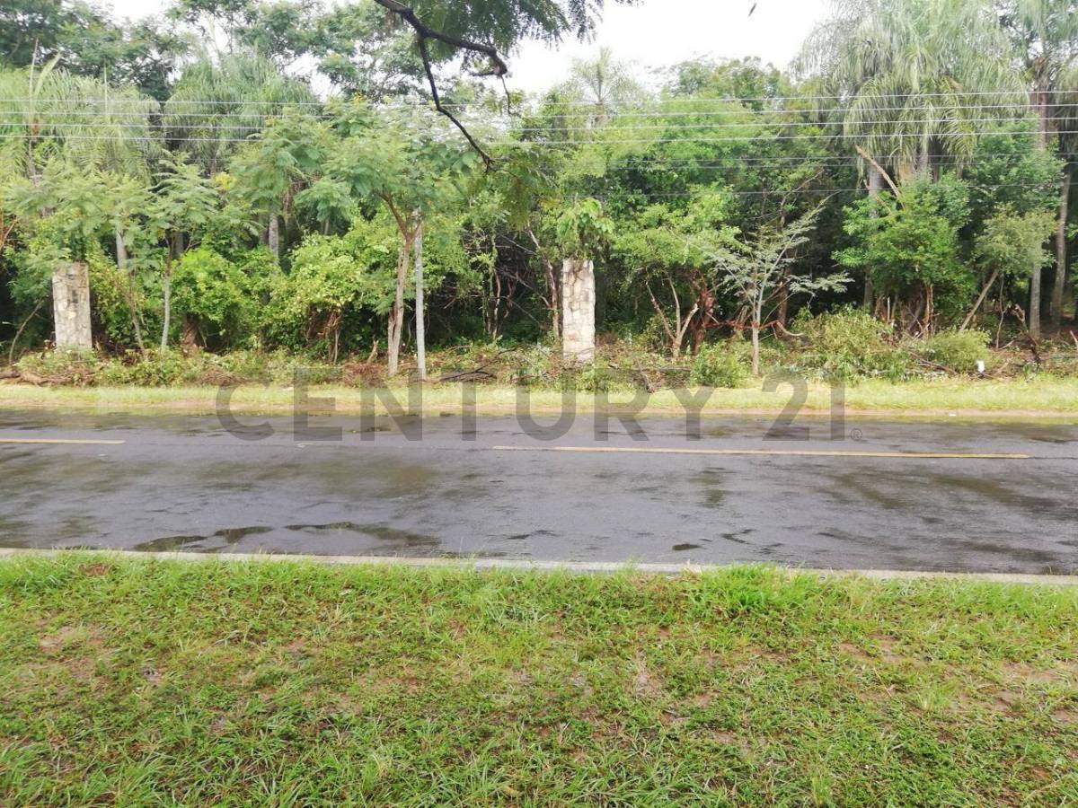 Vendo terreno en Ruta Emboscada — foto 2