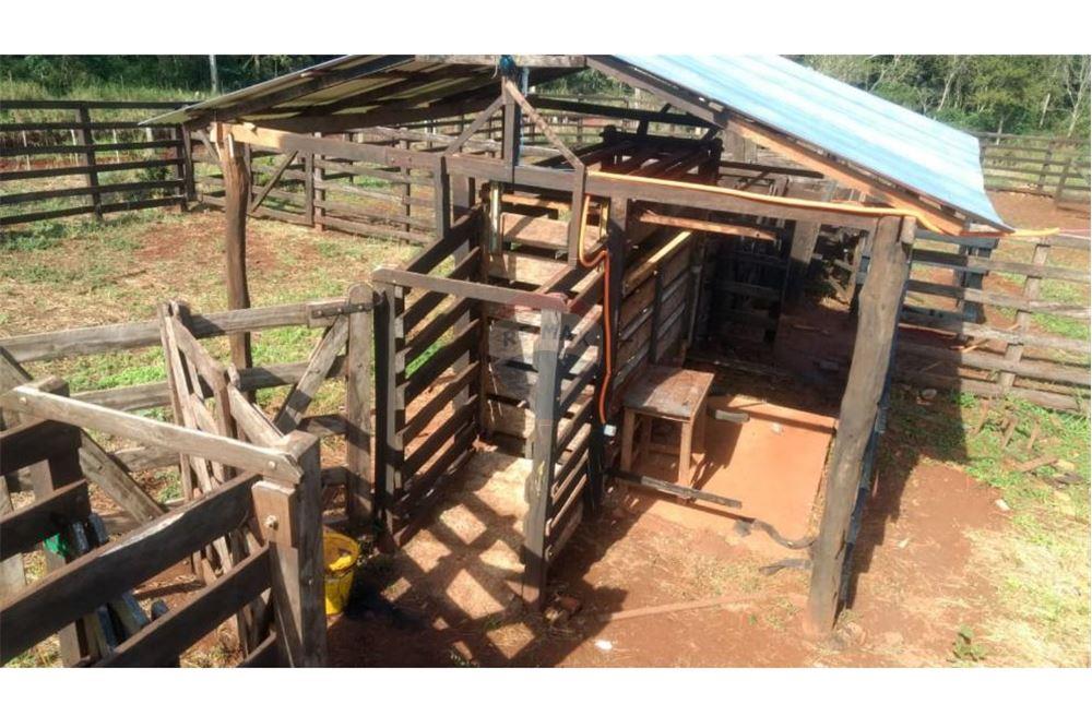 Estancia/Campo - Alquiler - Minga Guazú, Paraguay — foto 2